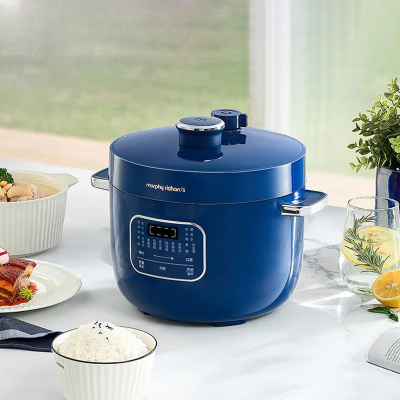 Autocuiseur Électrique - ElectricCooker™ - Bleu
